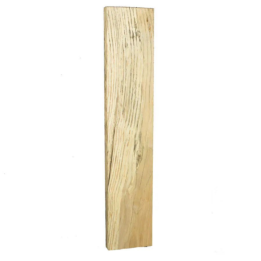 planche orme échauffé