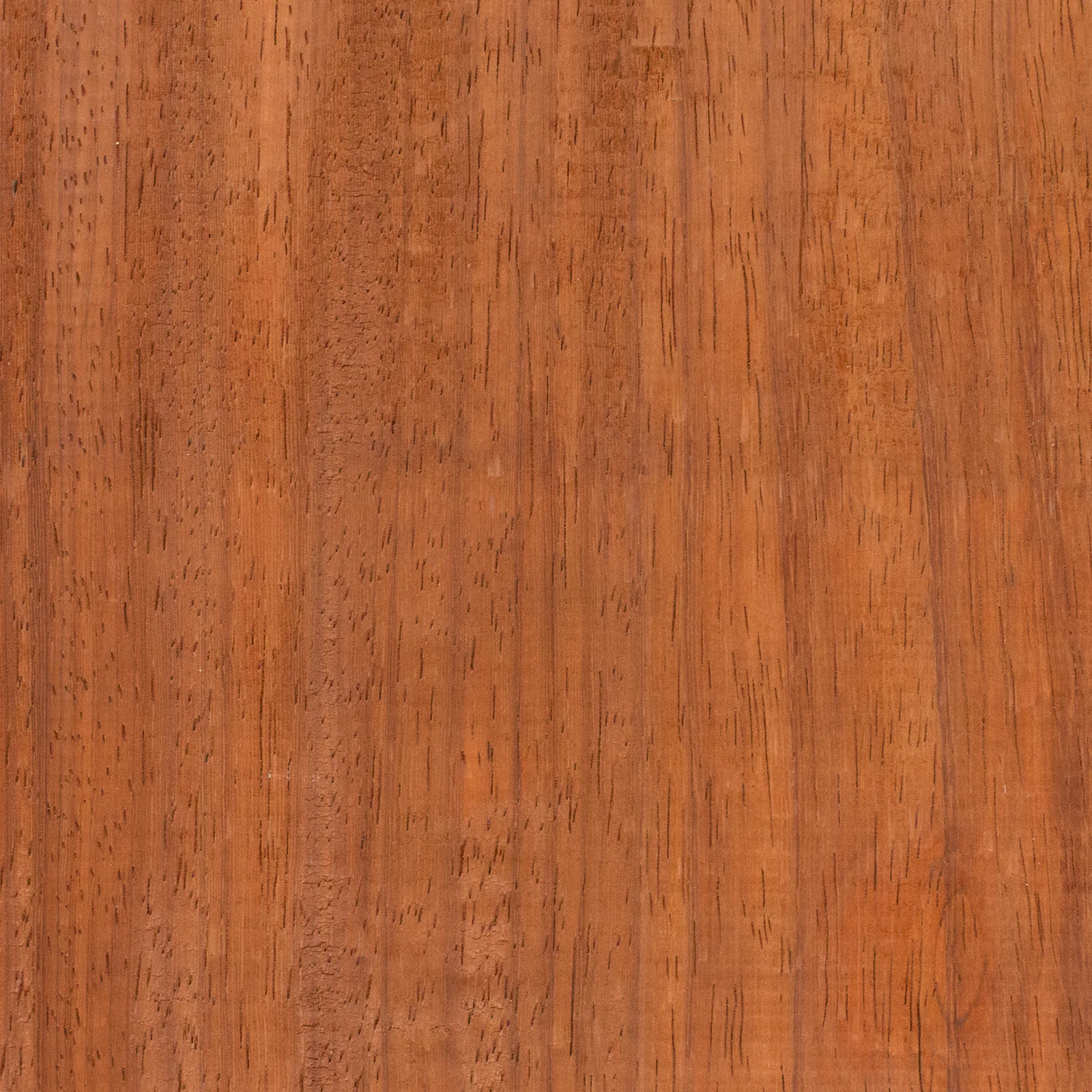 Carrelet Padouk 300 x 50 x 50 mm – Image 2
