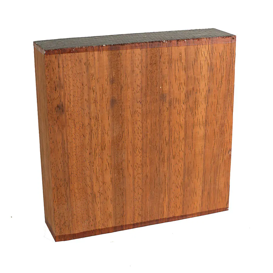 Bloc bol Padouk 200x200x50mm – Image 2