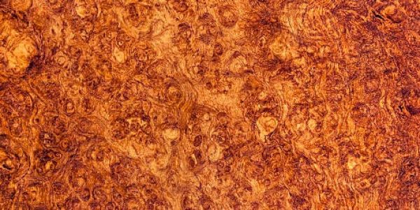 Polished exotic Amboyna burl wood grain texture. Natural finish, with great care taken with white balance to preserve the original colors. The wood is from the padauk tree which is grown in Southeast Asia. It is valued for its toughness, stability in use, and colorful wood.